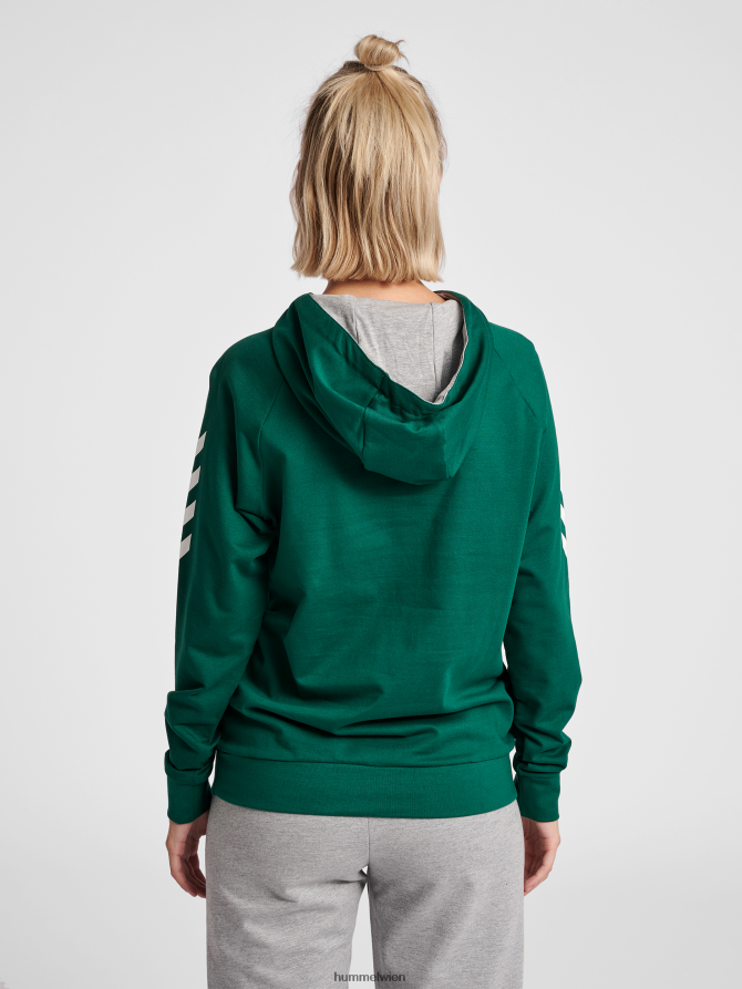 Hummel Frauen hmlgo Baumwoll-Kapuzenpullover 2FT6X83791 „Hoodie mit Chevron-Ärmeln“