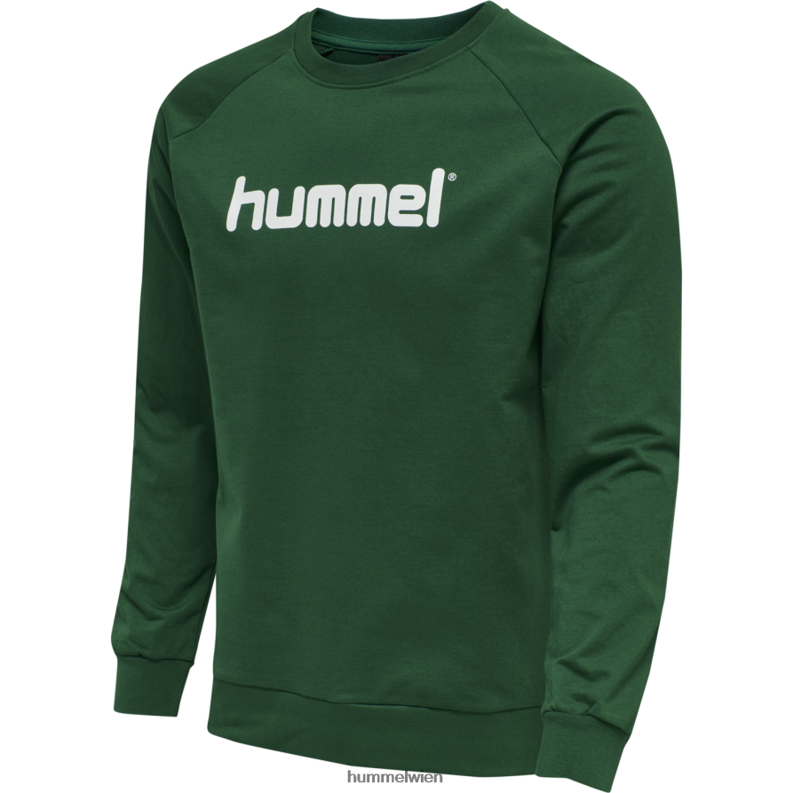 Hummel Frauen hmlgo Baumwoll-Logo-Sweatshirt 2FT6X83822 \Kleidung\