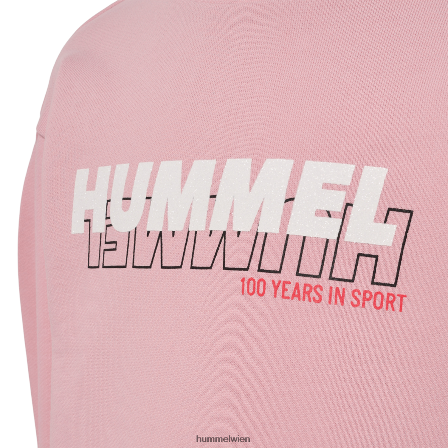 Hummel Kinder Hmlashley-Sweatshirt 2FT6X84997 „Baumwoll-Sweatshirt“