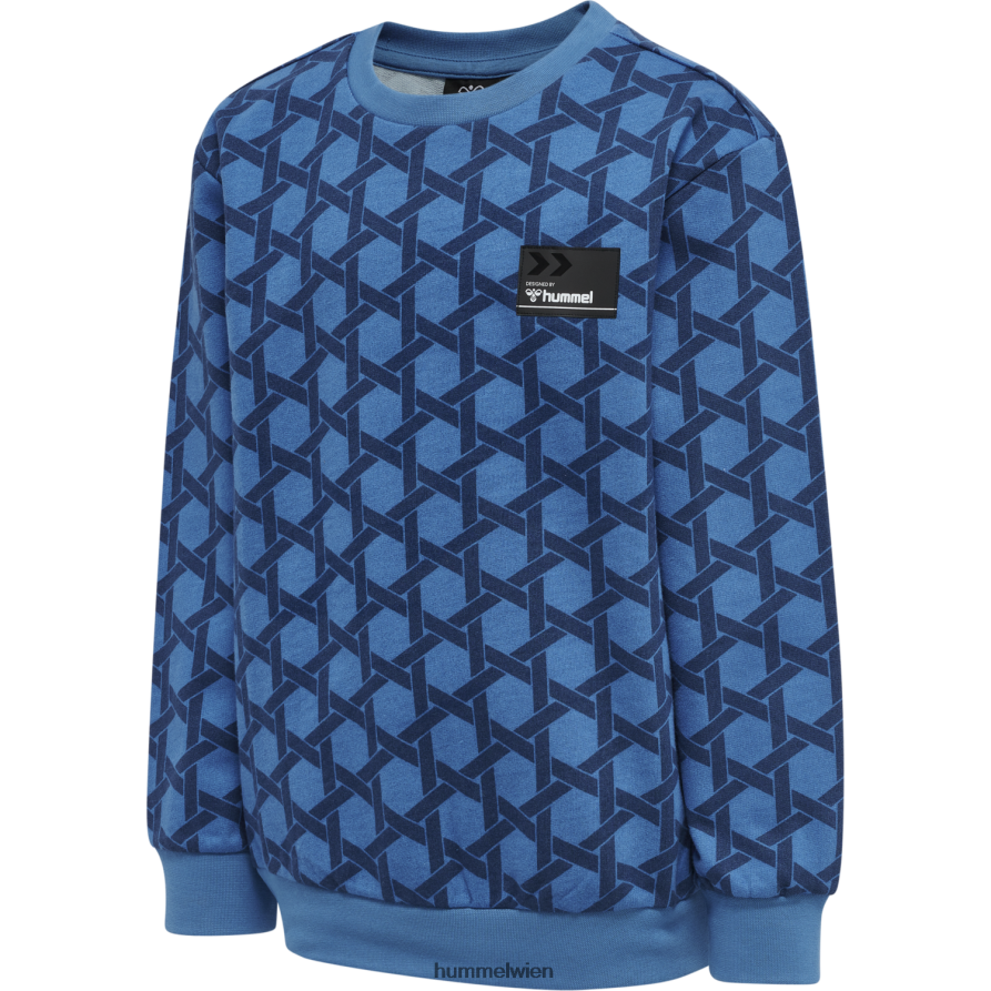 Hummel Kinder Hmlpeter-Sweatshirt 2FT6X86339 Sweatshirt