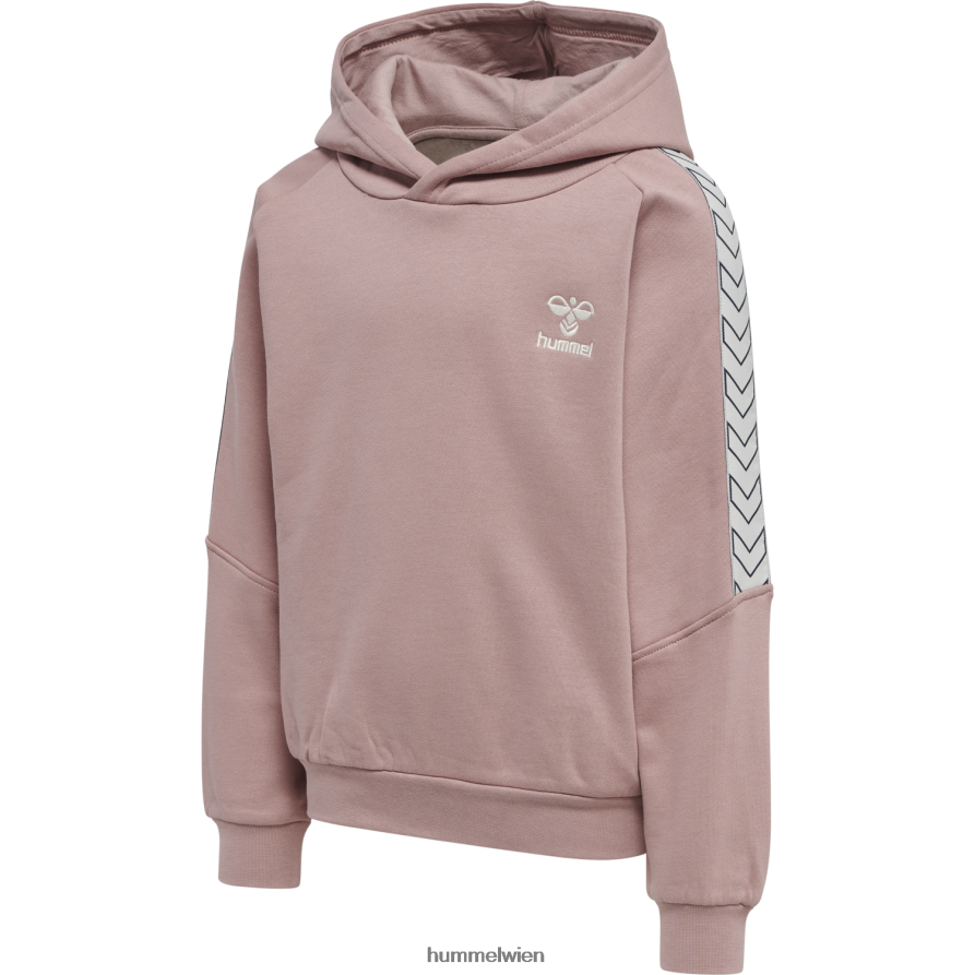 Hummel Kinder hmlaggi Hoodie-Anzug 2FT6X86044 „Hoodie- und Jogger-Set“