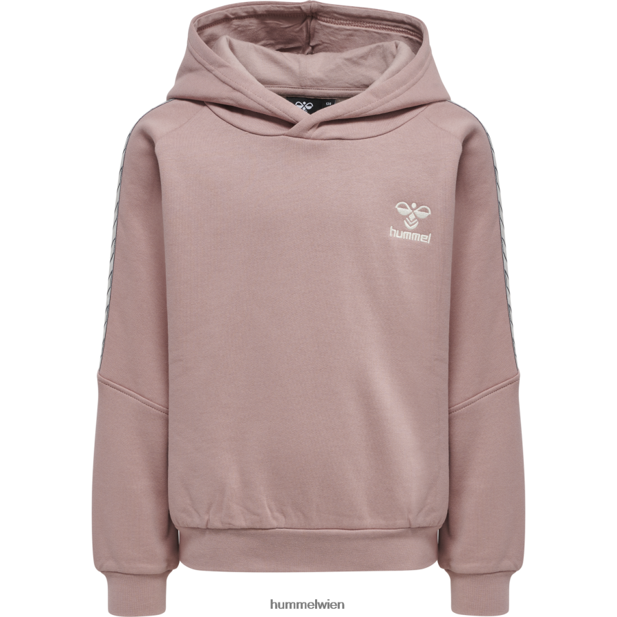 Hummel Kinder hmlaggi Hoodie-Anzug 2FT6X86044 „Hoodie- und Jogger-Set“