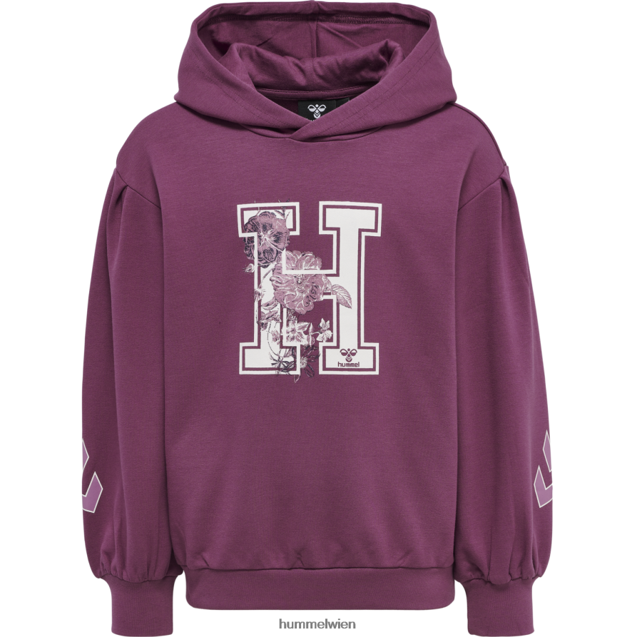 Hummel Kinder hmlastrology Kapuzenpullover 2FT6X85426 \Kapuzenpullover\