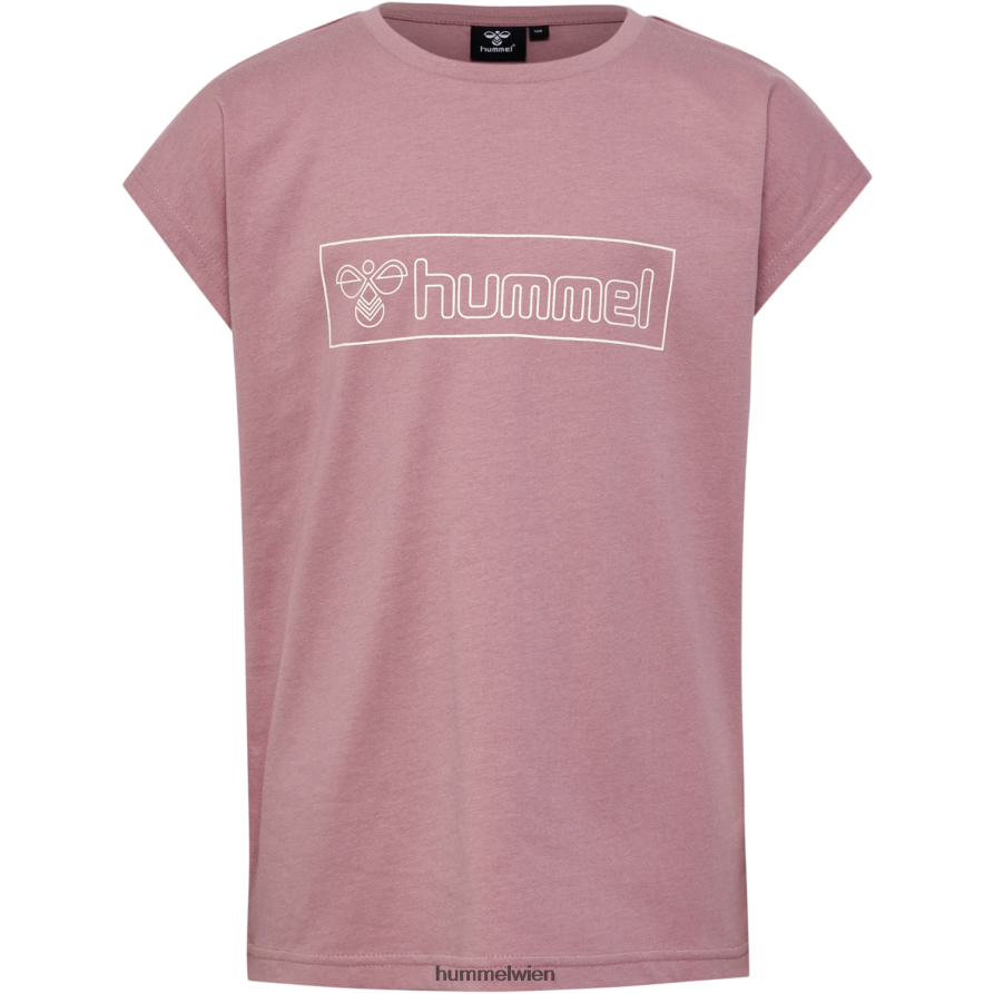 Hummel Kinder hmlboxline T-Shirt S/S 2er-Pack 2FT6X85654 „T-Shirts  Tops“