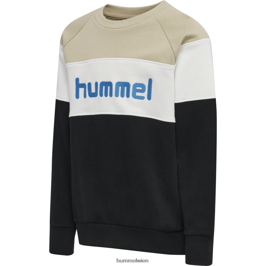 Hummel Kinder hmlclaes-Sweatshirt 2FT6X85983 Sweatshirt