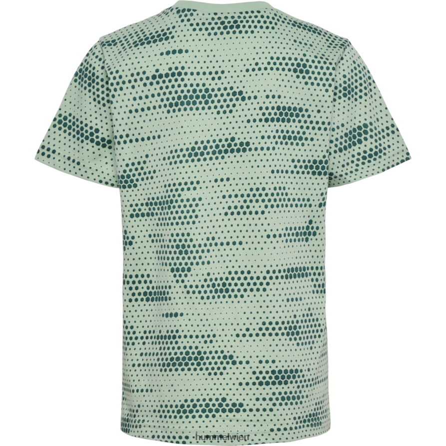 Hummel Kinder hmlcolton T-Shirt s/s 2FT6X84878 „Kurzarm-T-Shirt“