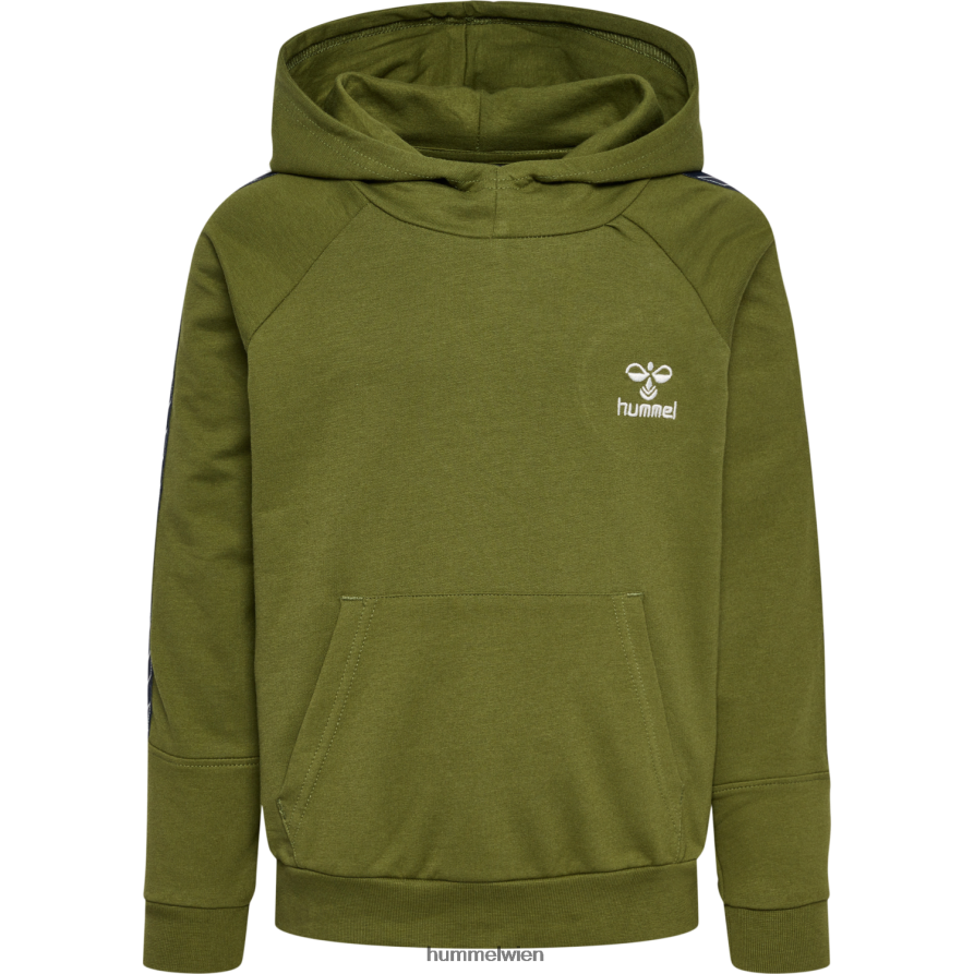 Hummel Kinder hmlcoolio Hoodie-Anzug 2FT6X86096 „Hoodie- und Jogger-Set“