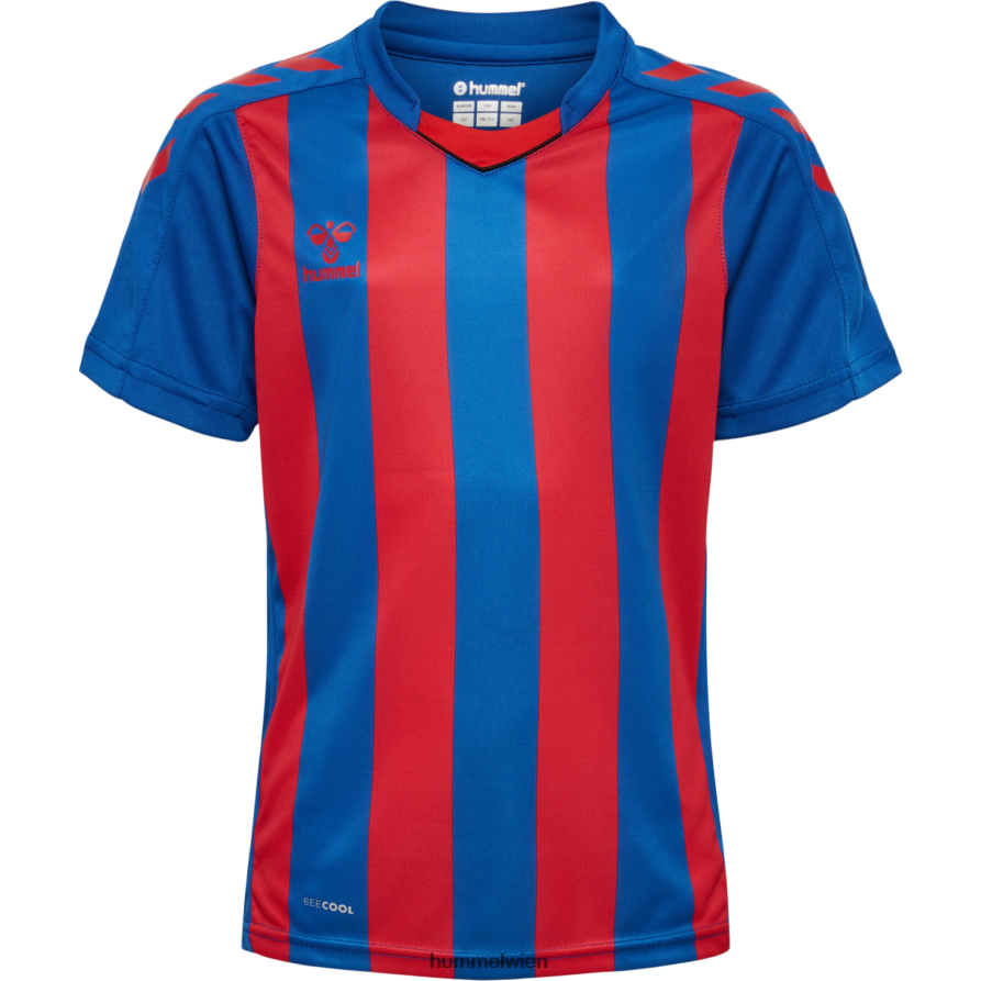 Hummel Kinder hmlcore xk gestreiftes Trikot s/s 2FT6X84870 „Kurzarmtrikot“