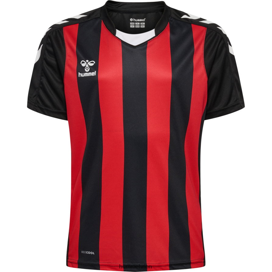 Hummel Kinder hmlcore xk gestreiftes Trikot s/s 2FT6X85463 „Kurzarmtrikot“