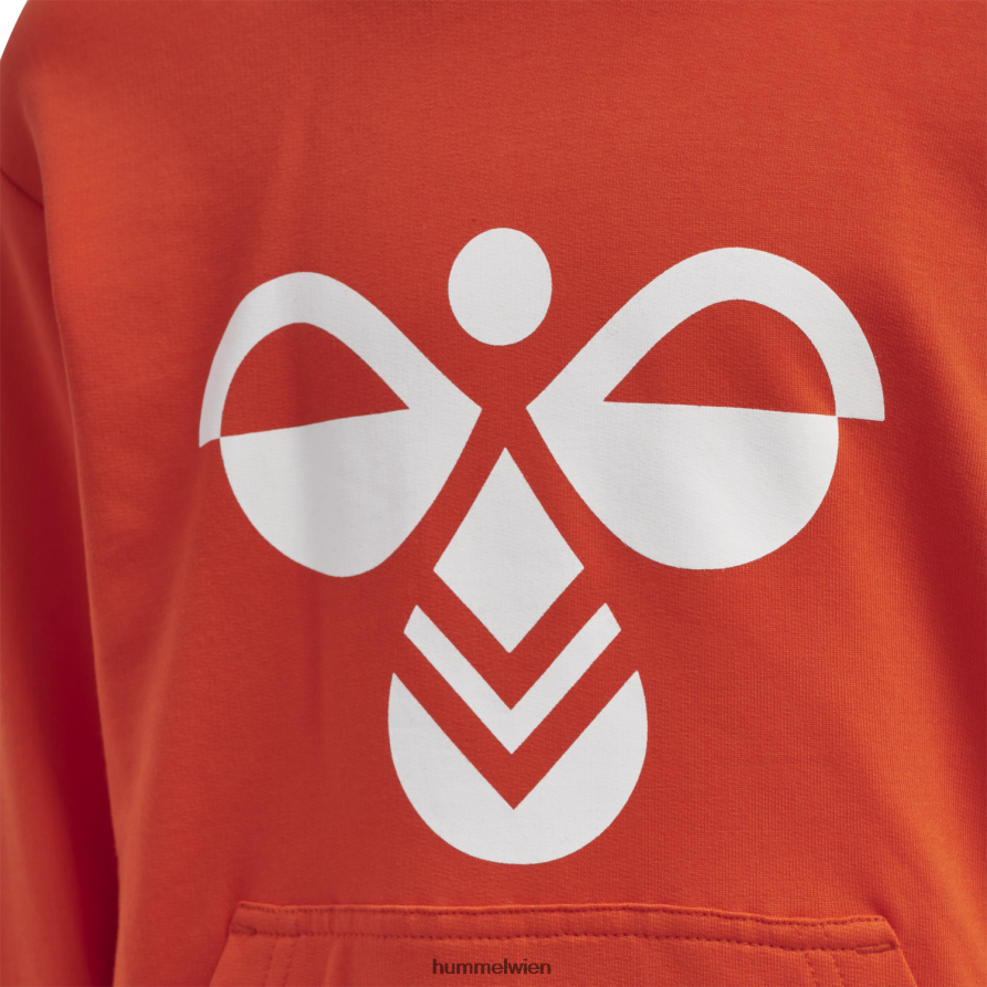 Hummel Kinder hmlcuatro Kapuzenpullover 2FT6X86263 \Kapuzenpullover\