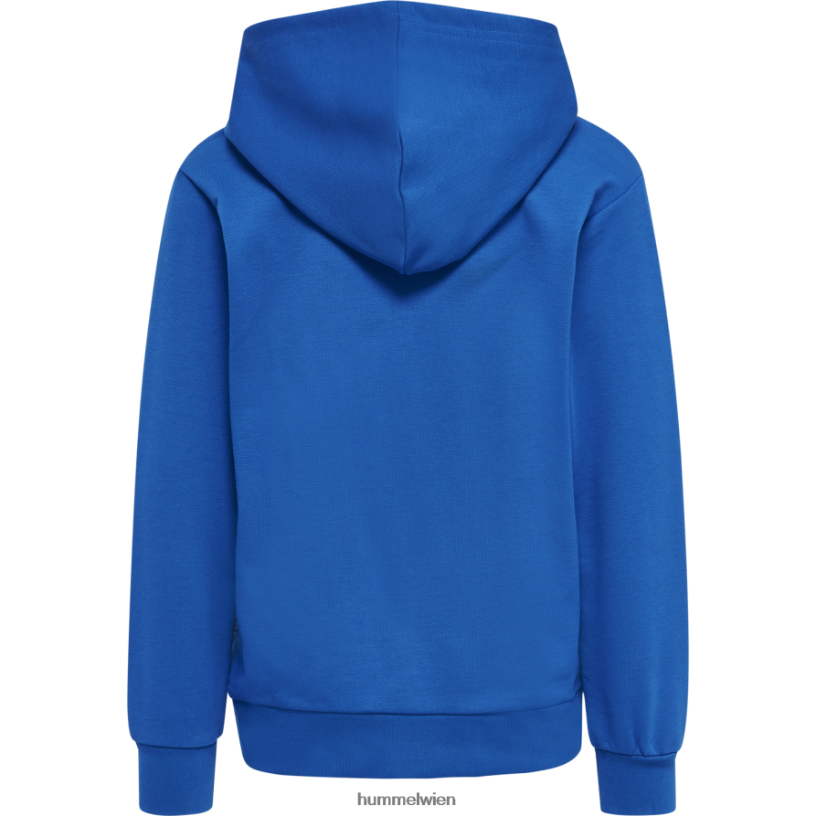 Hummel Kinder hmlcuatro Kapuzenpullover 2FT6X86354 \Kapuzenpullover\