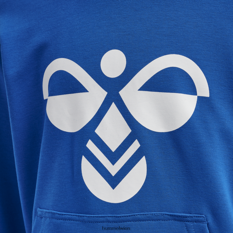 Hummel Kinder hmlcuatro Kapuzenpullover 2FT6X86354 \Kapuzenpullover\