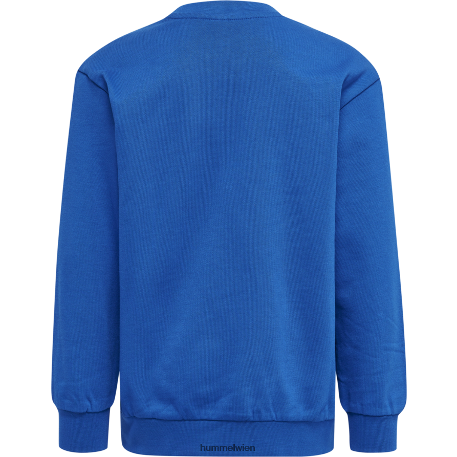 Hummel Kinder hmlditmer Sweatshirt 2FT6X86505 „Baumwoll-Sweatshirt“