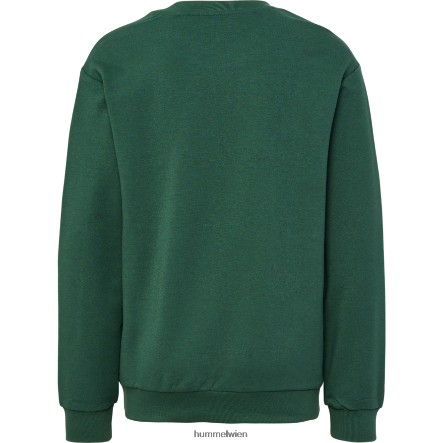Hummel Kinder hmldos Sweatshirt 2FT6X85176 \Sweatshirt\