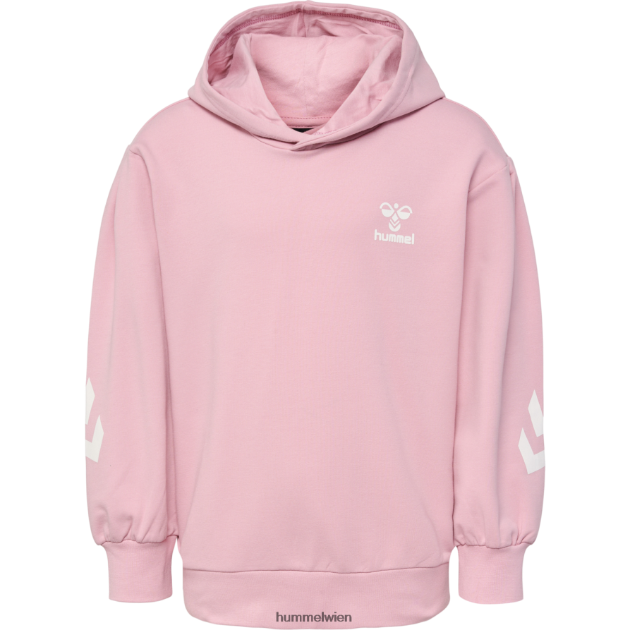 Hummel Kinder hmldue Kapuzenpullover 2FT6X84876 \Kapuzenpullover\