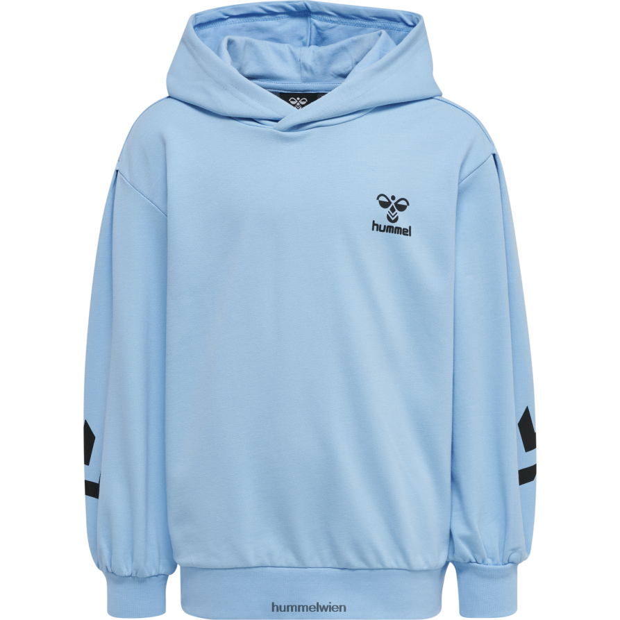 Hummel Kinder hmldue Kapuzenpullover 2FT6X86306 \Kapuzenpullover\