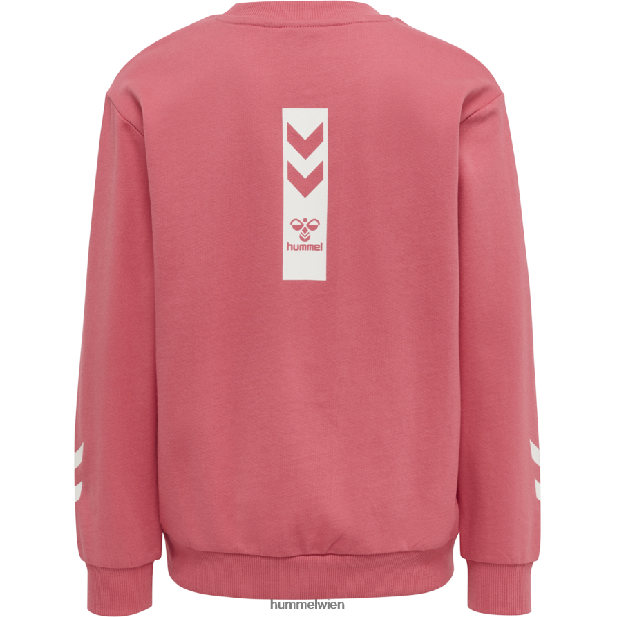 Hummel Kinder hmlflying Frühlings-Trainingsanzug 2FT6X86281 „Trainingsanzug“