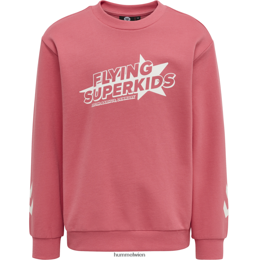 Hummel Kinder hmlflying Frühlings-Trainingsanzug 2FT6X86281 „Trainingsanzug“