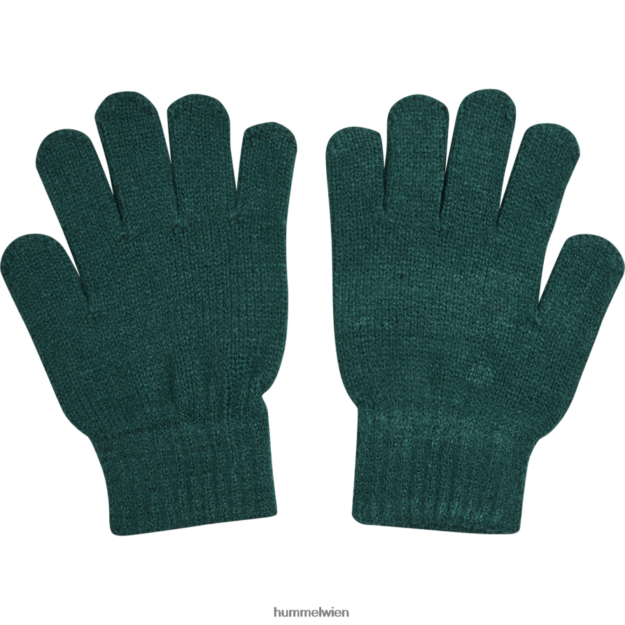 Hummel Kinder hmlkvint Handschuh 2FT6X86006 \Handschuhe\