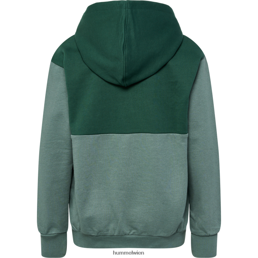 Hummel Kinder hmlmorten Kapuzenpullover 2FT6X84790 \Kapuzenpullover\