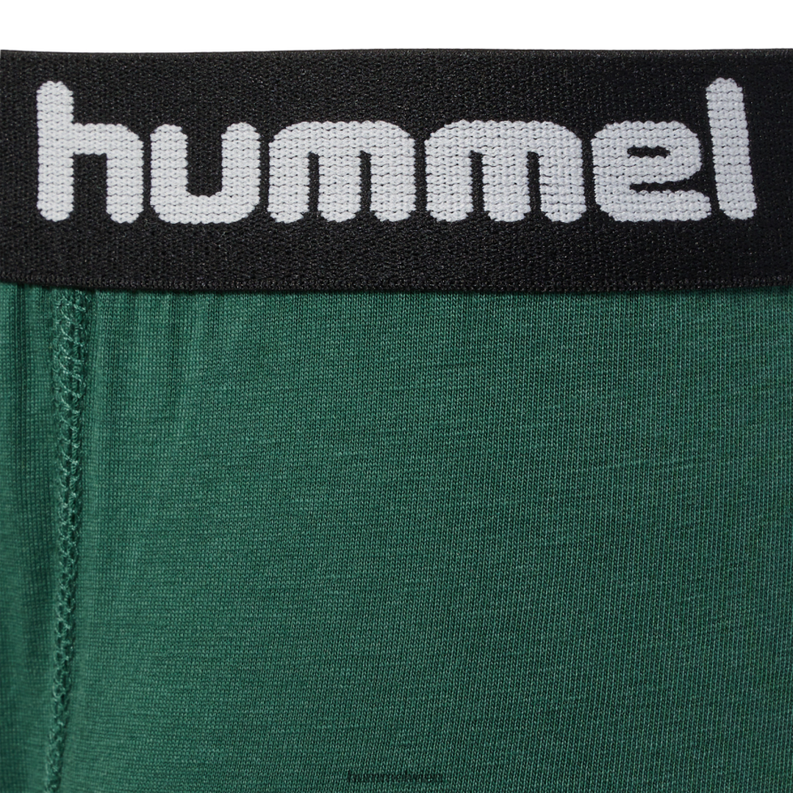 Hummel Kinder hmlnolan Boxershorts im 2er-Pack 2FT6X85126 „2er-Pack Boxershorts“
