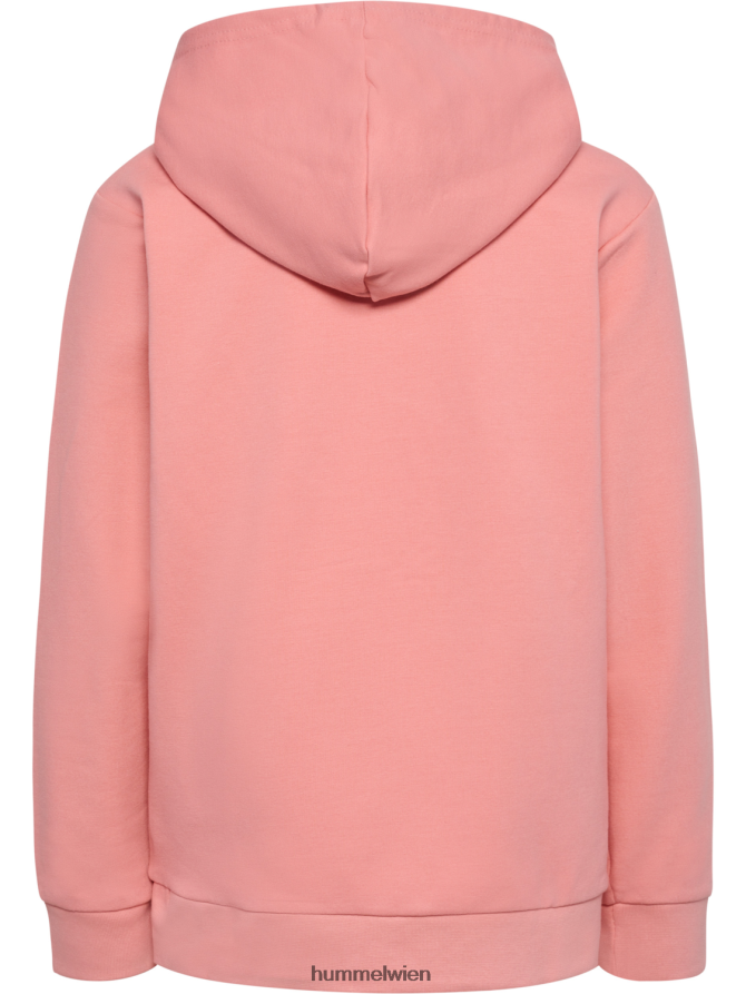 Hummel Kinder hmlwimb Kapuzenpullover 2FT6X86229 \Kapuzenpullover\