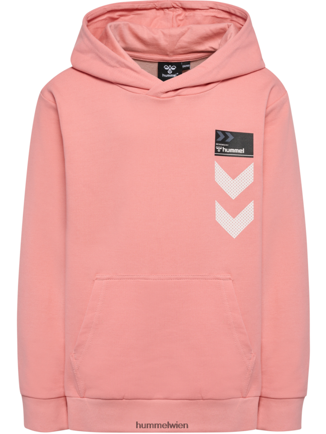 Hummel Kinder hmlwimb Kapuzenpullover 2FT6X86229 \Kapuzenpullover\