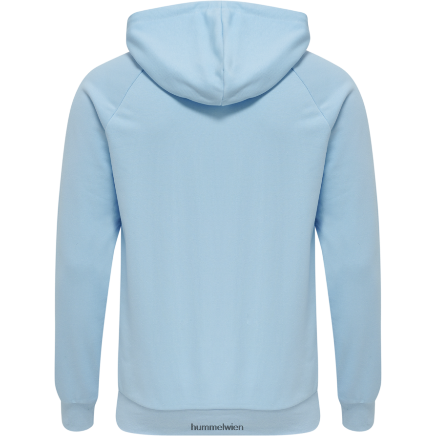 Hummel Männer Hmlisam 20 Kapuzenpullover 2FT6X8657 \Kapuzenpullover\