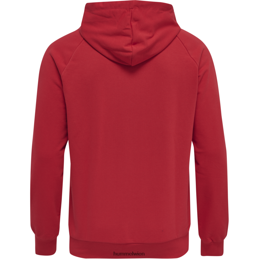 Hummel Männer Hmlisam 20 Kapuzenpullover 2FT6X8682 \Kapuzenpullover\