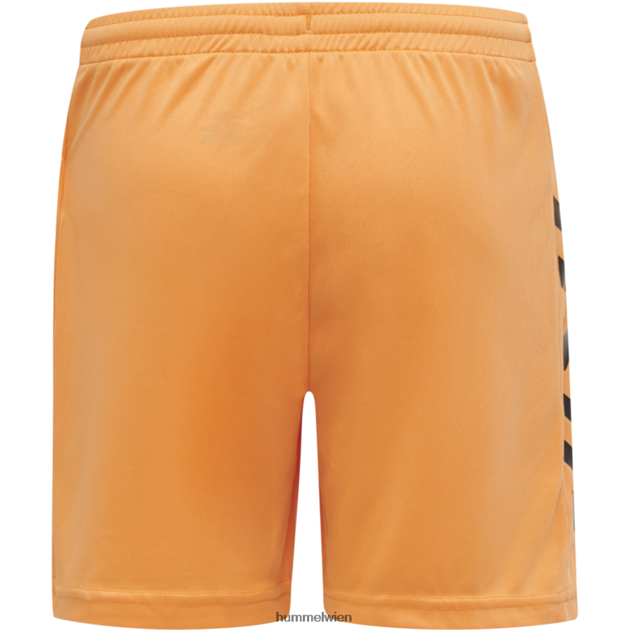 Hummel Männer Kern-GK-Set 2FT6X8213 „Torwart-Set“