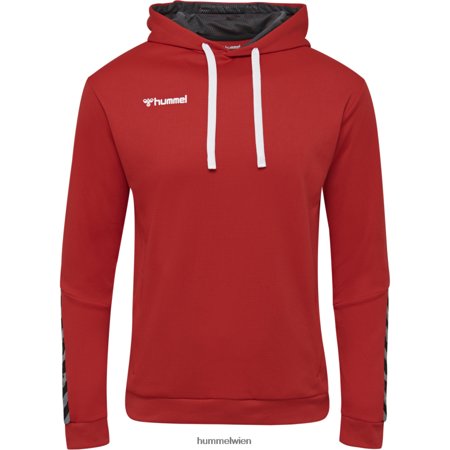 Hummel Männer hmlauthentischer Poly-Kapuzenpullover 2FT6X81468 \Kapuzenpullover\