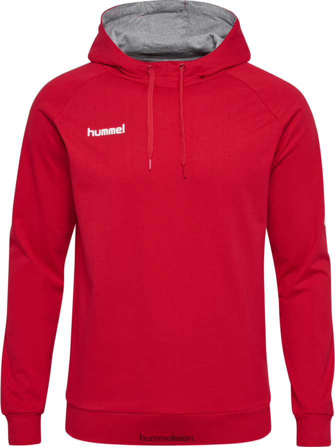 Hummel Männer hmlgo Baumwoll-Kapuzenpullover 2FT6X81394 „Hoodie mit Chevron-Ärmeln“