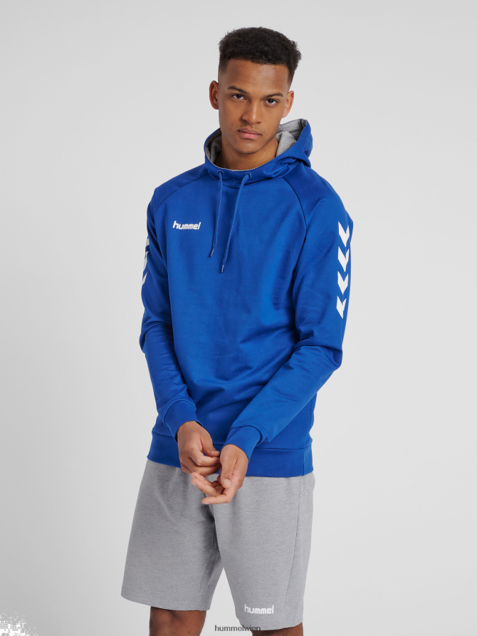 Hummel Männer hmlgo Baumwoll-Kapuzenpullover 2FT6X81403 „Hoodie mit Chevron-Ärmeln“