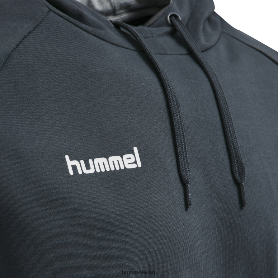 Hummel Männer hmlgo Baumwoll-Kapuzenpullover 2FT6X81624 „Hoodie mit Chevron-Ärmeln“
