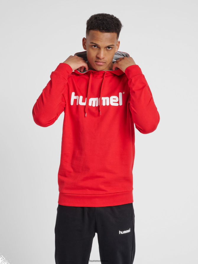 Hummel Männer hmlgo Kapuzenpullover aus Baumwolle mit Logo 2FT6X81627 „Hoodie mit großem Logo-Print“