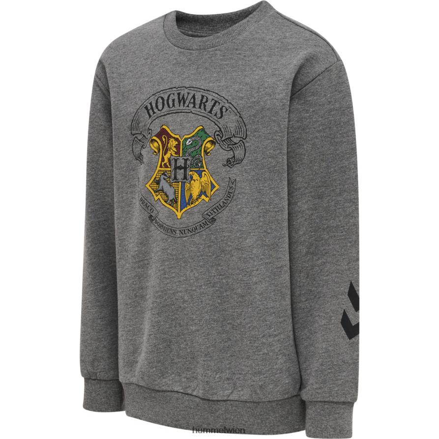 Hummel unisex HmlHarry Potter Frühlings-Trainingsanzug 2FT6X85177 „Sweat-Trainingsanzug“