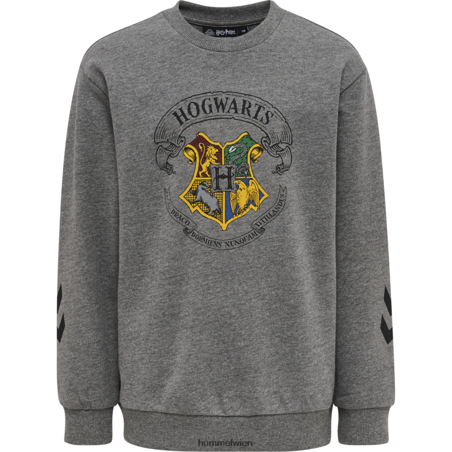 Hummel unisex HmlHarry Potter Frühlings-Trainingsanzug 2FT6X85177 „Sweat-Trainingsanzug“