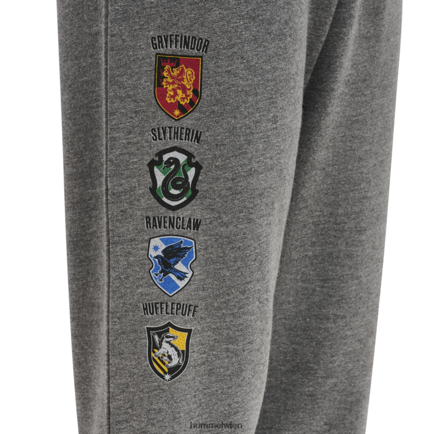 Hummel unisex HmlHarry Potter Frühlings-Trainingsanzug 2FT6X85177 „Sweat-Trainingsanzug“