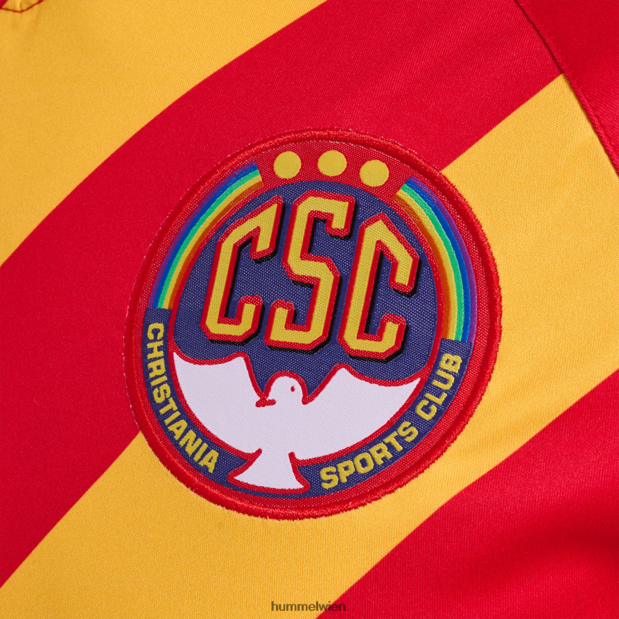 Hummel unisex hmlcsc 19/20 Heimtrikot l/s 2FT6X82085 \Kleidung\