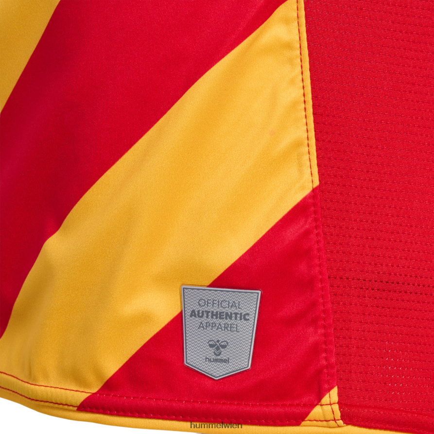 Hummel unisex hmlcsc 19/20 Heimtrikot l/s 2FT6X82085 \Kleidung\