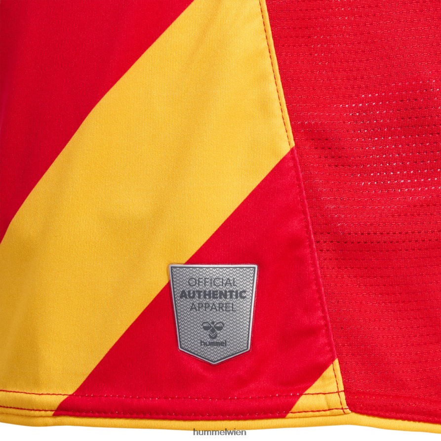 Hummel unisex hmlcsc 19/20 Heimtrikot s/s 2FT6X82079 \Kleidung\