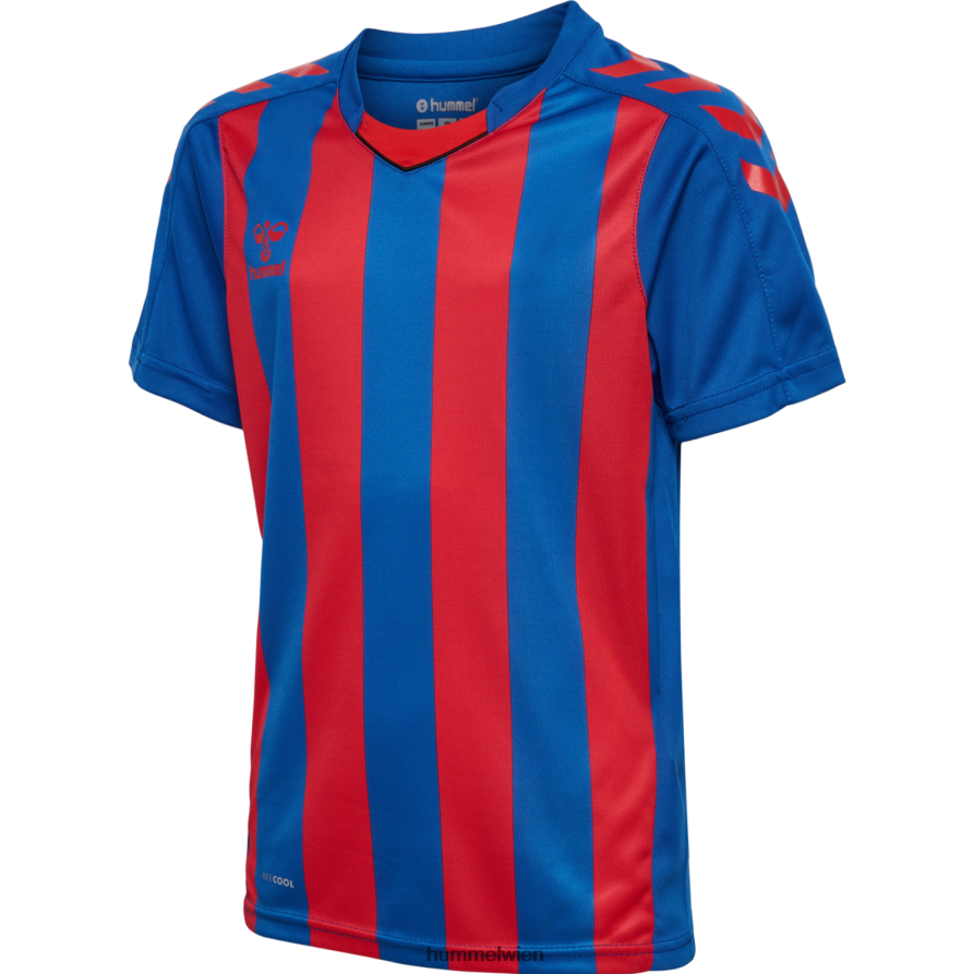 Hummel Kinder hmlcore xk gestreiftes Trikot s/s 2FT6X84870 „Kurzarmtrikot“