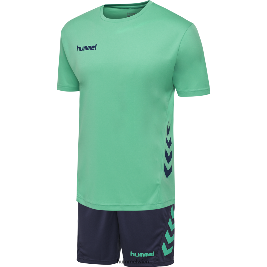 Hummel Kinder hmlpromo Duo-Set 2FT6X86979 „crew t-shirt und shorts set“