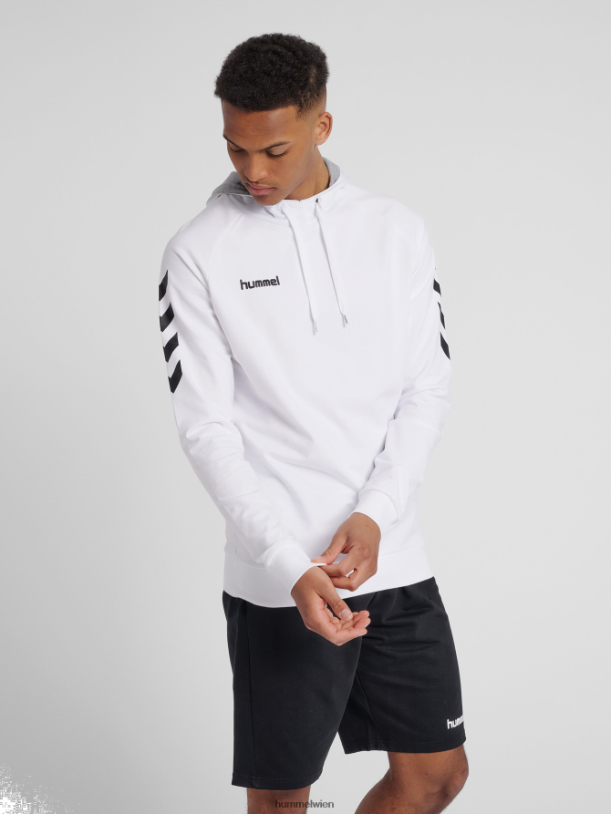 Hummel Männer hmlgo Baumwoll-Kapuzenpullover 2FT6X81625 „Hoodie mit Chevron-Ärmeln“